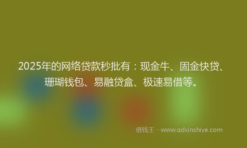 2025年的网络贷款秒批有：现金牛、固金快贷、珊瑚钱包、易融贷盒、极速易借等。
