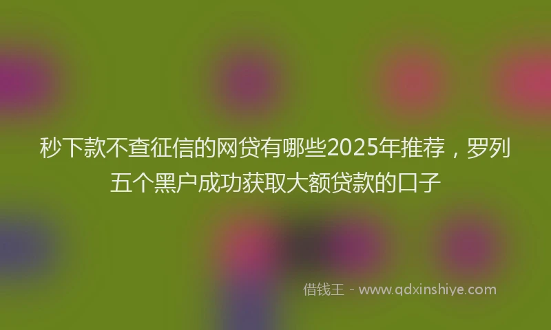 秒下款不查征信的网贷有哪些2025年推荐，罗列五个黑户成功获取大额贷款的口子