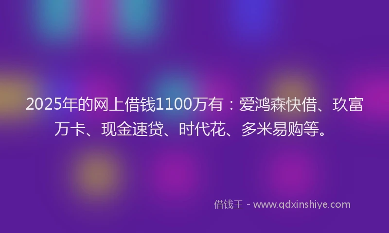2025年的网上借钱1100万有：爱鸿森快借、玖富万卡、现金速贷、时代花、多米易购等。