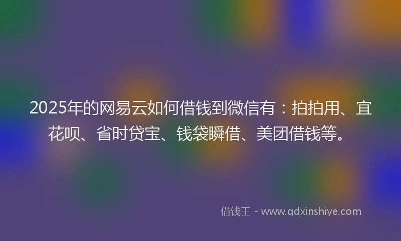 2025年的网易云如何借钱到微信有：拍拍用、宜花呗、省时贷宝、钱袋瞬借、美团借钱等。