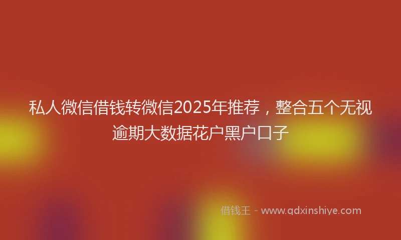 私人微信借钱转微信2025年推荐，整合五个无视逾期大数据花户黑户口子