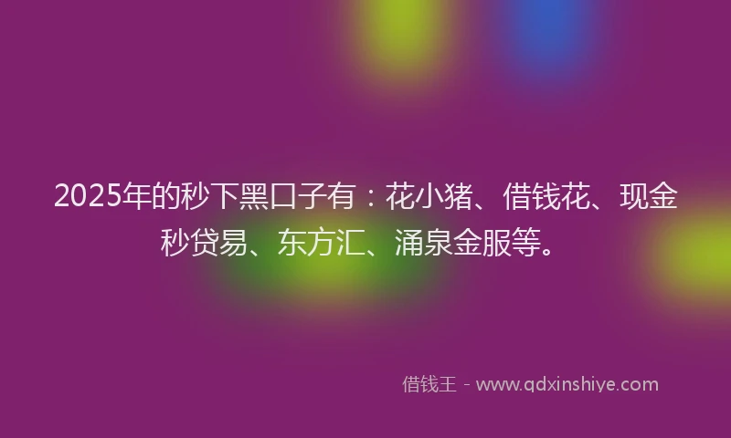 2025年的秒下黑口子有：花小猪、借钱花、现金秒贷易、东方汇、涌泉金服等。