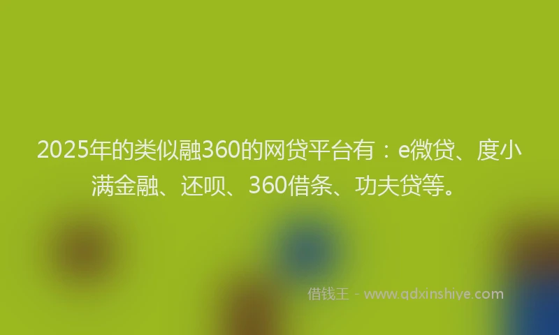 2025年的类似融360的网贷平台有：e微贷、度小满金融、还呗、360借条、功夫贷等。