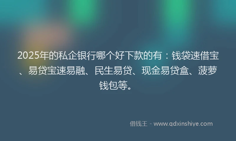 2025年的私企银行哪个好下款的有：钱袋速借宝、易贷宝速易融、民生易贷、现金易贷盒、菠萝钱包等。