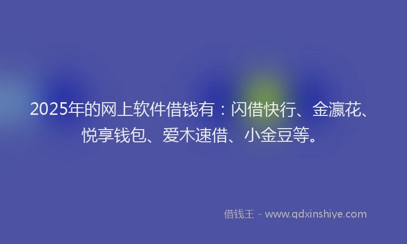 2025年的网上软件借钱有：闪借快行、金瀛花、悦享钱包、爱木速借、小金豆等。
