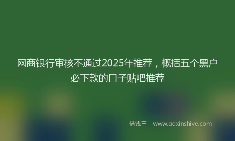 网商银行审核不通过2025年推荐，概括五个黑户必下款的口子贴吧推荐