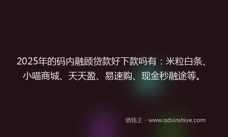 2025年的码内融顾贷款好下款吗有：米粒白条、小喵商城、天天盈、易速购、现金秒融途等。
