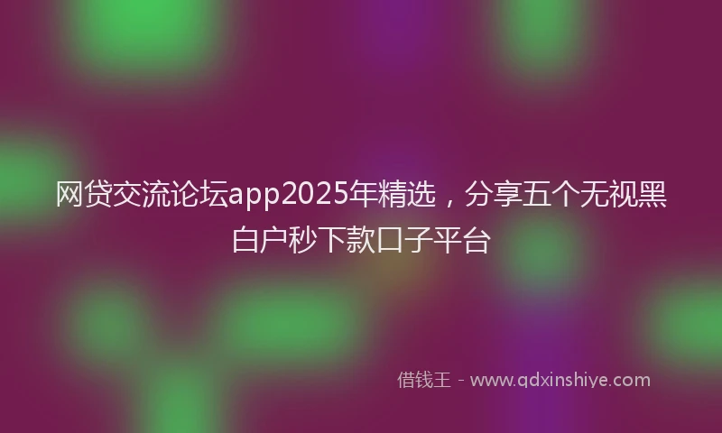 网贷交流论坛app2025年精选，分享五个无视黑白户秒下款口子平台