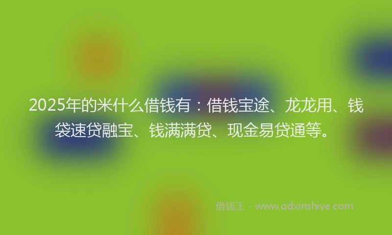2025年的米什么借钱有：借钱宝途、龙龙用、钱袋速贷融宝、钱满满贷、现金易贷通等。