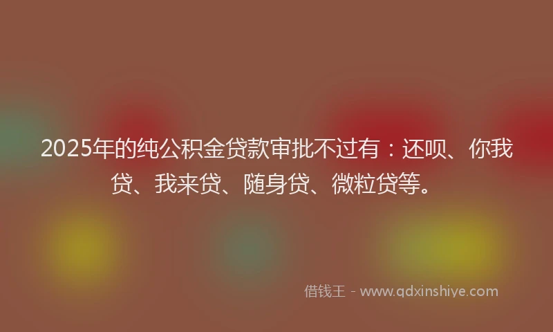 2025年的纯公积金贷款审批不过有：还呗、你我贷、我来贷、随身贷、微粒贷等。