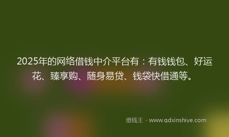 2025年的网络借钱中介平台有：有钱钱包、好运花、臻享购、随身易贷、钱袋快借通等。