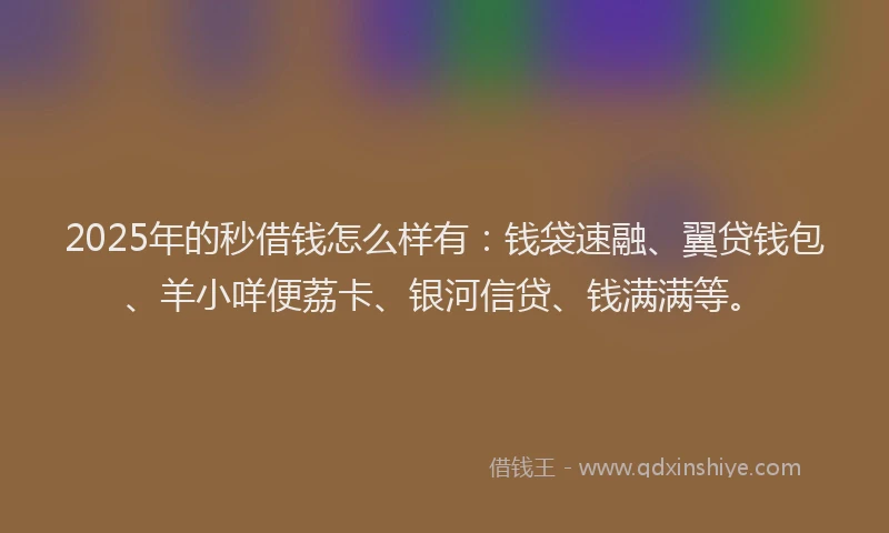 2025年的秒借钱怎么样有：钱袋速融、翼贷钱包、羊小咩便荔卡、银河信贷、钱满满等。