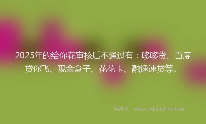 2025年的给你花审核后不通过有：哆哆贷、百度贷你飞、现金盒子、花花卡、融逸速贷等。