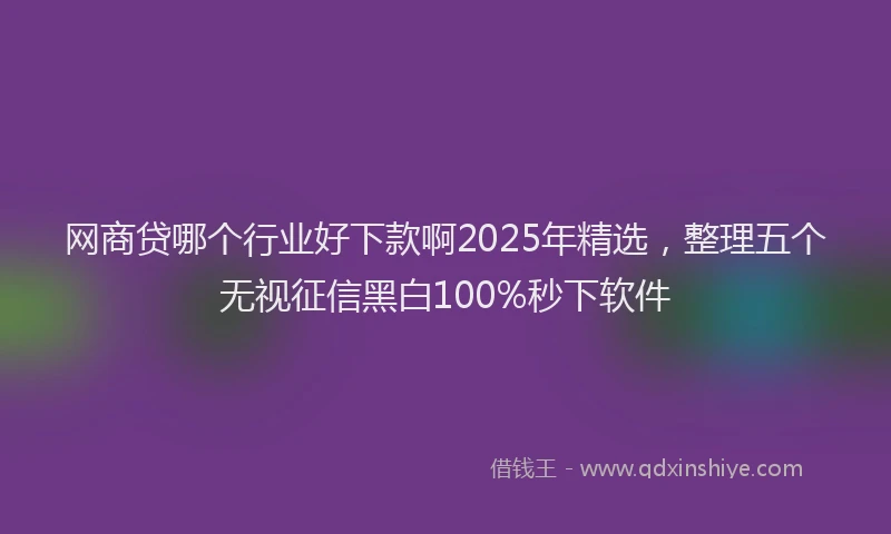 网商贷哪个行业好下款啊2025年精选，整理五个无视征信黑白100%秒下软件