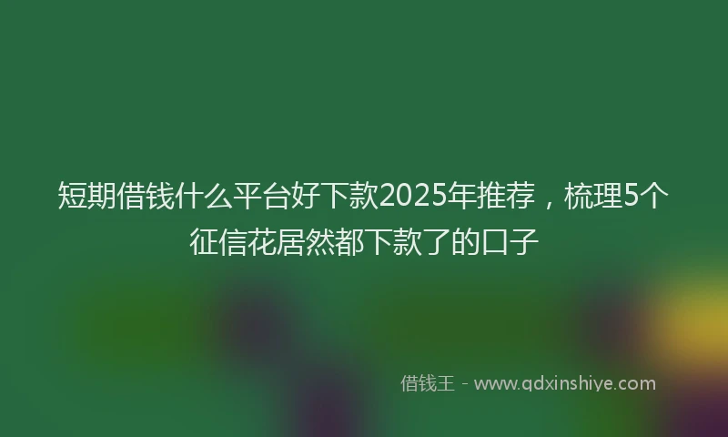 短期借钱什么平台好下款2025年推荐，梳理5个征信花居然都下款了的口子