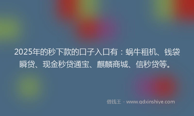 2025年的秒下款的口子入口有：蜗牛租机、钱袋瞬贷、现金秒贷通宝、麒麟商城、信秒贷等。