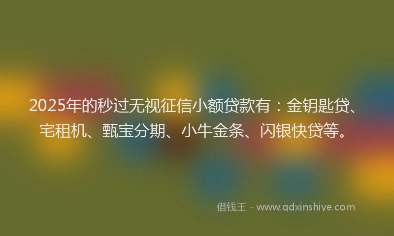 2025年的秒过无视征信小额贷款有：金钥匙贷、宅租机、甄宝分期、小牛金条、闪银快贷等。