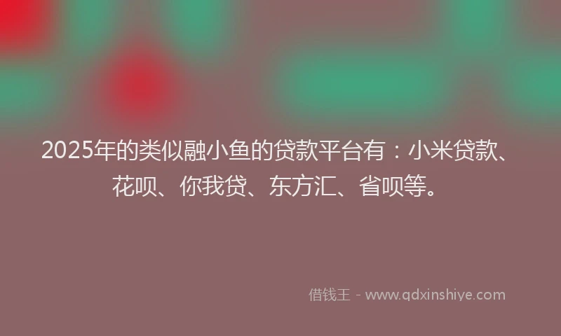 2025年的类似融小鱼的贷款平台有：小米贷款、花呗、你我贷、东方汇、省呗等。