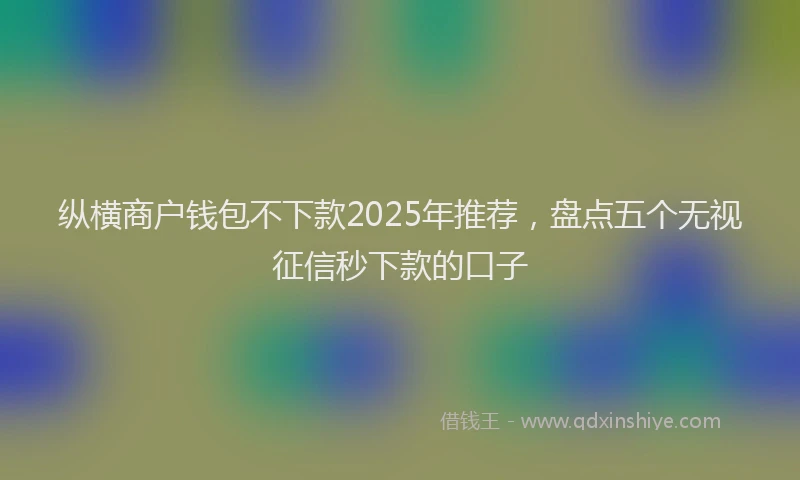 纵横商户钱包不下款2025年推荐，盘点五个无视征信秒下款的口子