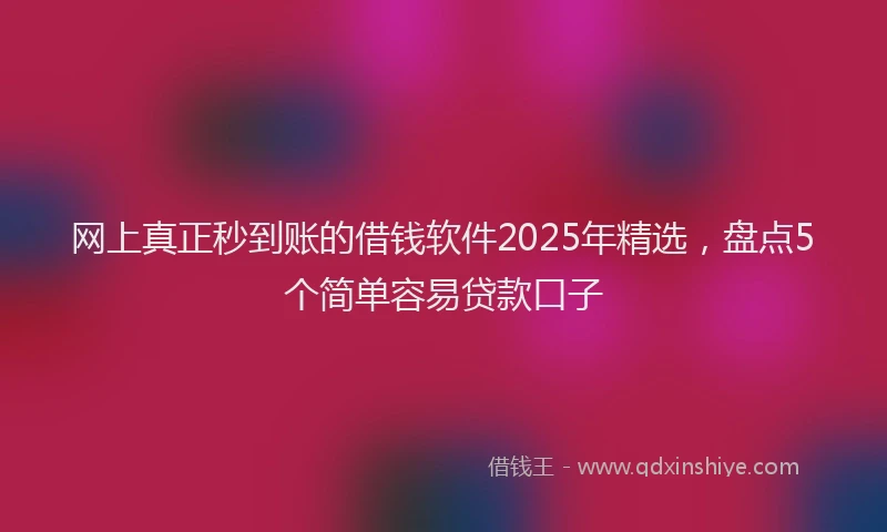 网上真正秒到账的借钱软件2025年精选，盘点5个简单容易贷款口子