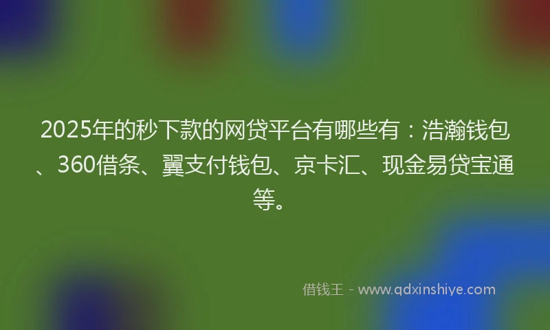 2025年的秒下款的网贷平台有哪些有：浩瀚钱包、360借条、翼支付钱包、京卡汇、现金易贷宝通等。