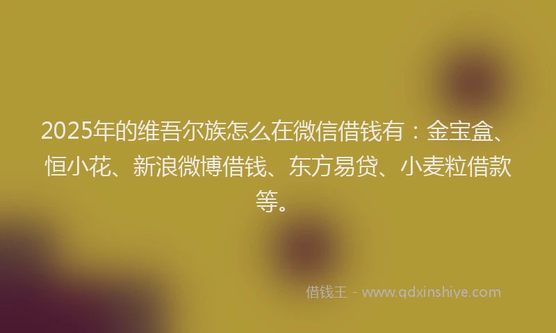 2025年的维吾尔族怎么在微信借钱有：金宝盒、恒小花、新浪微博借钱、东方易贷、小麦粒借款等。