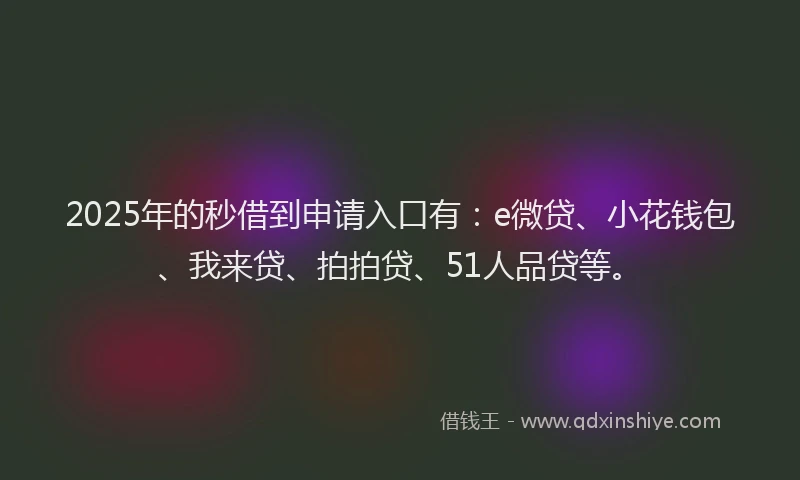 2025年的秒借到申请入口有：e微贷、小花钱包、我来贷、拍拍贷、51人品贷等。