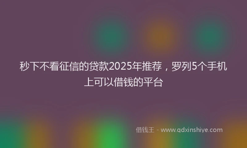 秒下不看征信的贷款2025年推荐，罗列5个手机上可以借钱的平台