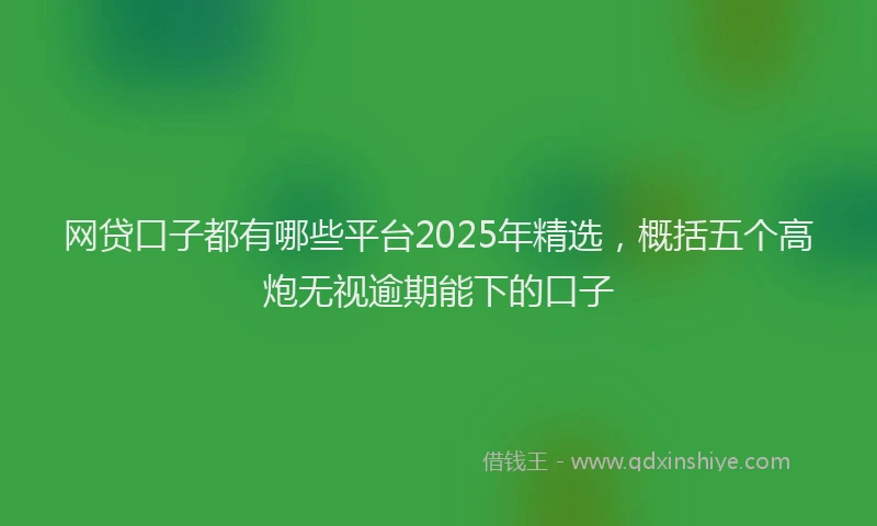 网贷口子都有哪些平台2025年精选，概括五个高炮无视逾期能下的口子