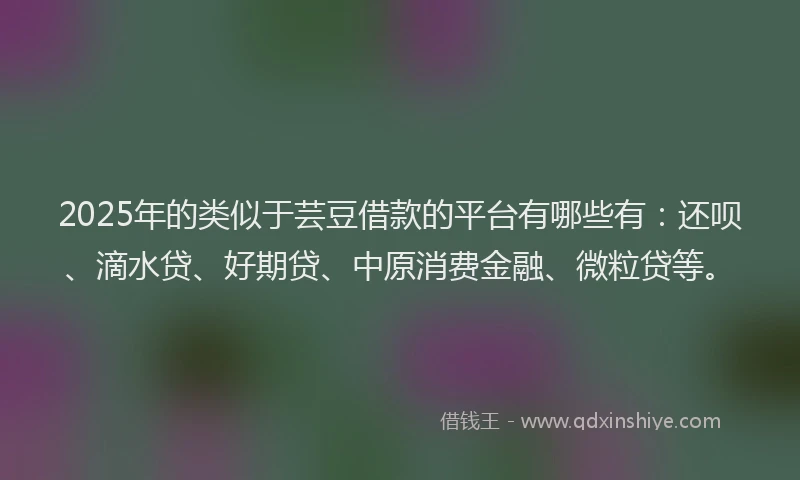 2025年的类似于芸豆借款的平台有哪些有：还呗、滴水贷、好期贷、中原消费金融、微粒贷等。