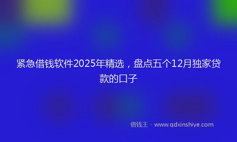 紧急借钱软件2025年精选，盘点五个12月独家贷款的口子