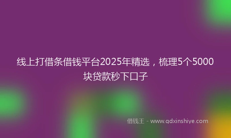 线上打借条借钱平台2025年精选，梳理5个5000块贷款秒下口子