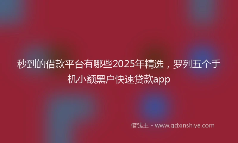 秒到的借款平台有哪些2025年精选，罗列五个手机小额黑户快速贷款app