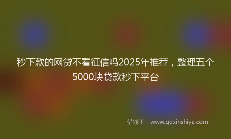 秒下款的网贷不看征信吗2025年推荐，整理五个5000块贷款秒下平台