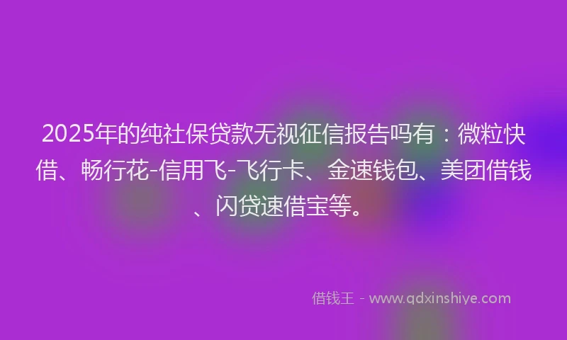 2025年的纯社保贷款无视征信报告吗有：微粒快借、畅行花-信用飞-飞行卡、金速钱包、美团借钱、闪贷速借宝等。