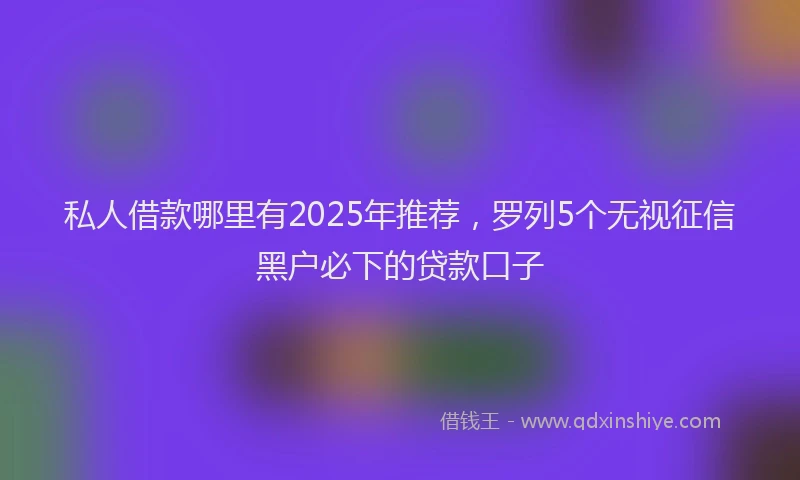 私人借款哪里有2025年推荐，罗列5个无视征信黑户必下的贷款口子