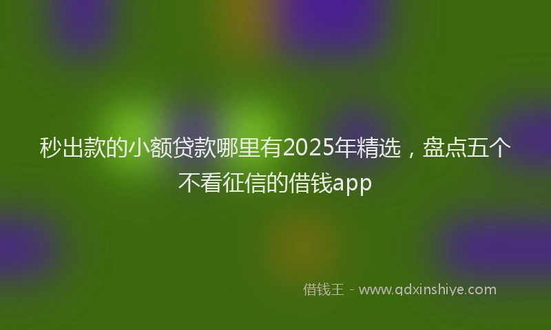 秒出款的小额贷款哪里有2025年精选，盘点五个不看征信的借钱app