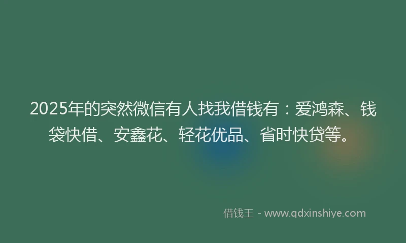 2025年的突然微信有人找我借钱有：爱鸿森、钱袋快借、安鑫花、轻花优品、省时快贷等。