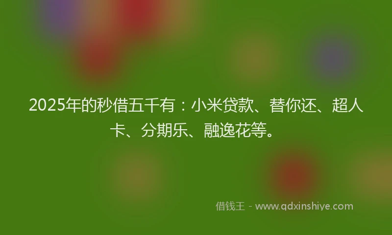 2025年的秒借五千有：小米贷款、替你还、超人卡、分期乐、融逸花等。