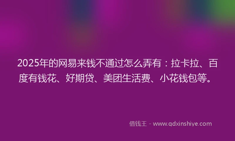 2025年的网易来钱不通过怎么弄有：拉卡拉、百度有钱花、好期贷、美团生活费、小花钱包等。