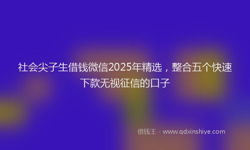 社会尖子生借钱微信2025年精选，整合五个快速下款无视征信的口子