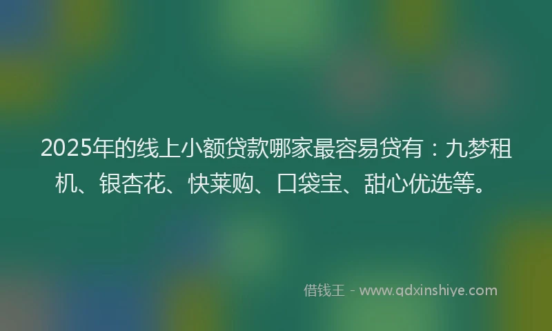 2025年的线上小额贷款哪家最容易贷有：九梦租机、银杏花、快莱购、口袋宝、甜心优选等。