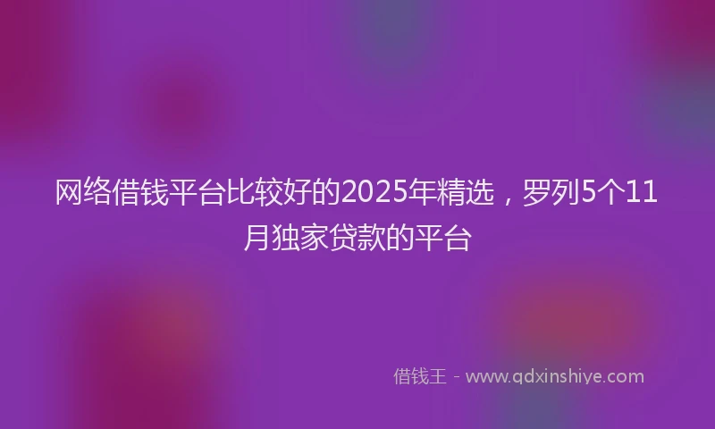 网络借钱平台比较好的2025年精选，罗列5个11月独家贷款的平台