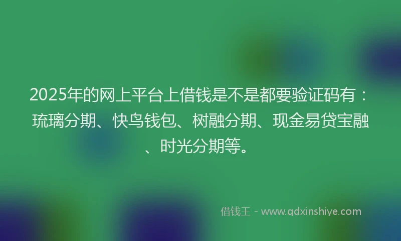 2025年的网上平台上借钱是不是都要验证码有：琉璃分期、快鸟钱包、树融分期、现金易贷宝融、时光分期等。