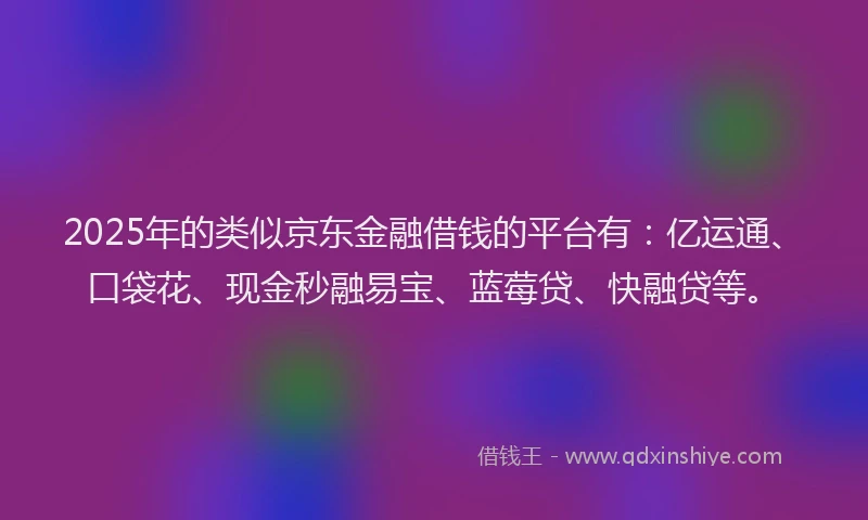 2025年的类似京东金融借钱的平台有：亿运通、口袋花、现金秒融易宝、蓝莓贷、快融贷等。