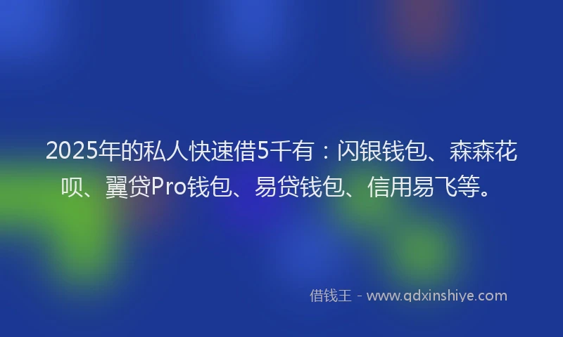 2025年的私人快速借5千有：闪银钱包、森森花呗、翼贷Pro钱包、易贷钱包、信用易飞等。