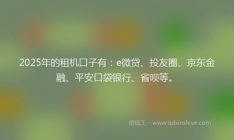 2025年的租机口子有：e微贷、投友圈、京东金融、平安口袋银行、省呗等。