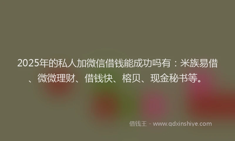 2025年的私人加微信借钱能成功吗有：米族易借、微微理财、借钱快、榕贝、现金秘书等。