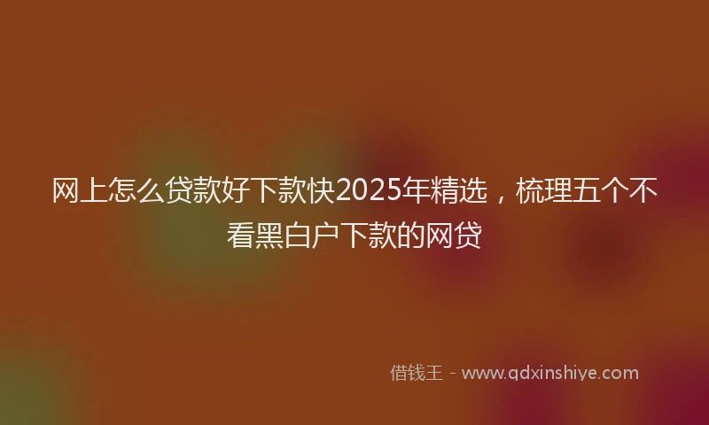 网上怎么贷款好下款快2025年精选，梳理五个不看黑白户下款的网贷