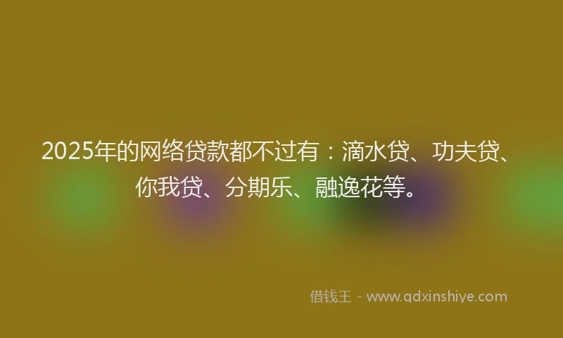 2025年的网络贷款都不过有：滴水贷、功夫贷、你我贷、分期乐、融逸花等。
